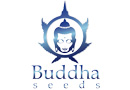 Buddha Seeds