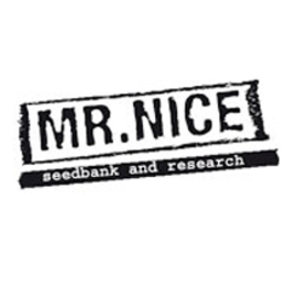 Mr.Nice