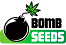 Bomb Seeds