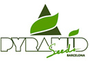 Pyramid seeds