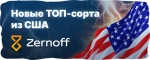 Новые сорта из США от Zernoff