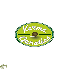 Karma Genetics