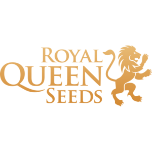 Royal Queen Seeds