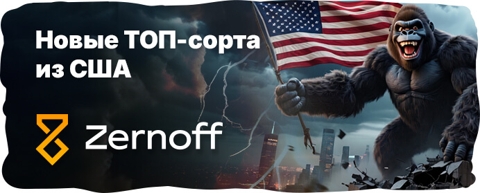 Новые мощные сорта из США