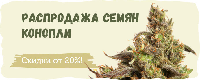 Распродажа семян конопли