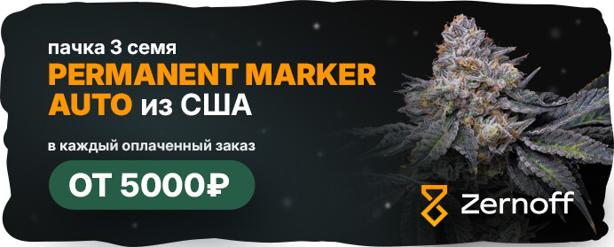 Пачка 3 семя топ сортов из США в каждый заказ от 5000 руб